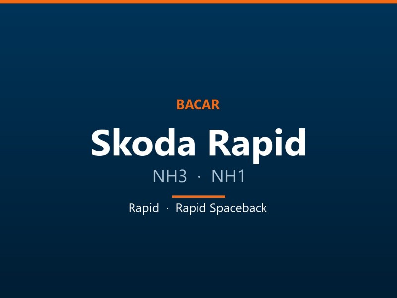 Магнітола для Skoda Rapid: як визначити покоління і яка підійде